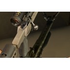 The DDA2020 (Deadline Dynamic Arms)