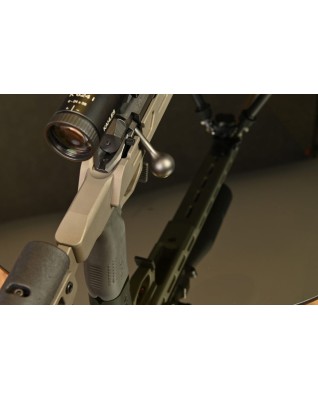 The DDA2020 (Deadline Dynamic Arms)