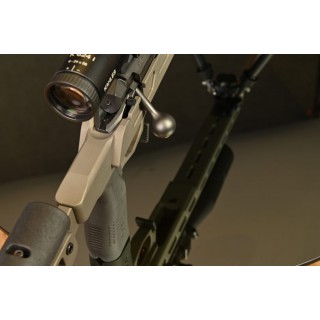 The DDA2020 (Deadline Dynamic Arms)