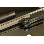 The DDA2020 (Deadline Dynamic Arms)